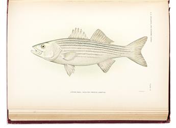 (FISHES.) Hugh M. Smith. The Fishes of North Carolina. (Volume II to the North Carolina Geological and Economic Survey Reports).